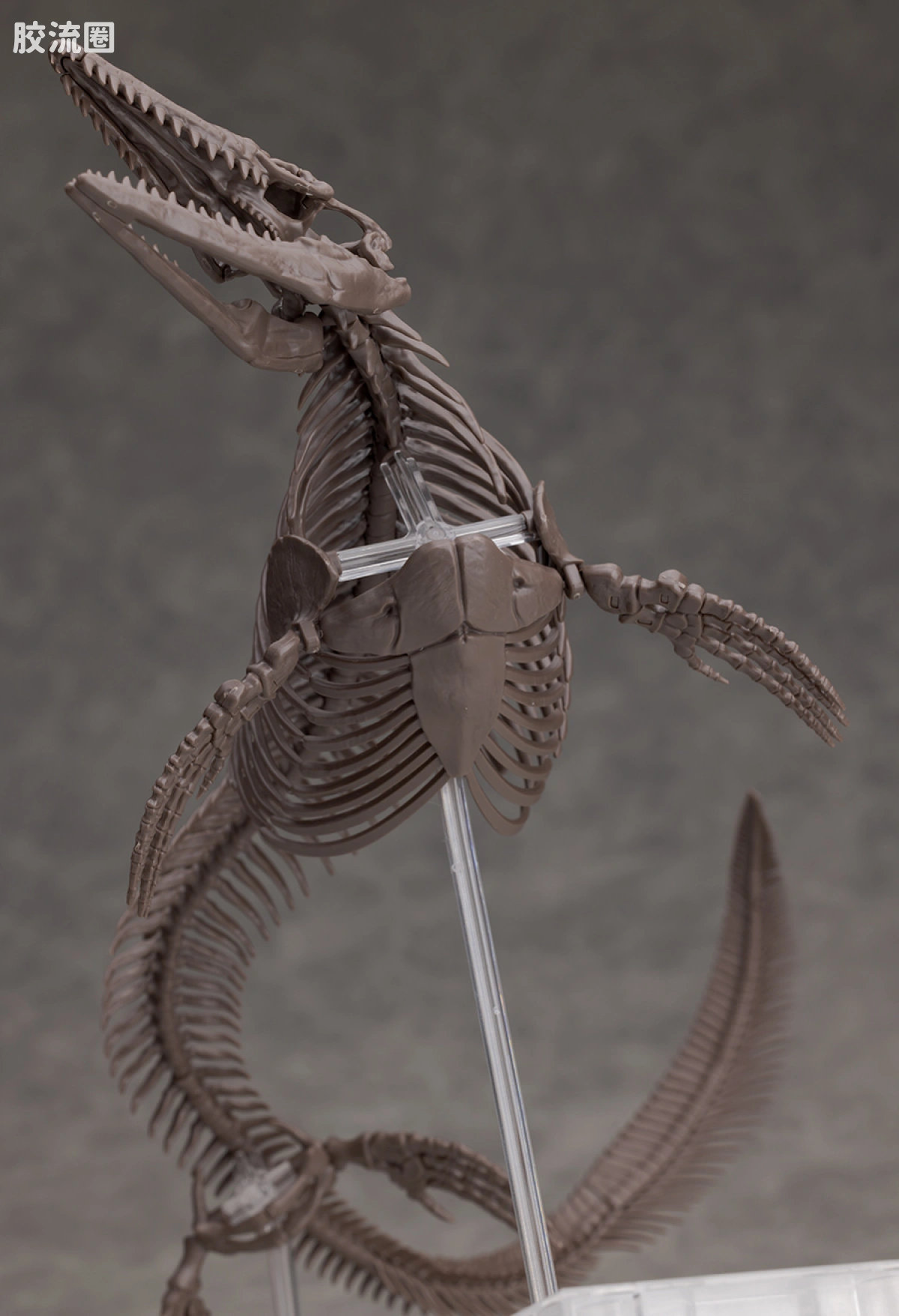 万代综合拼装模型系列 Imaginary Skeleton系列 沧龙 - 图片